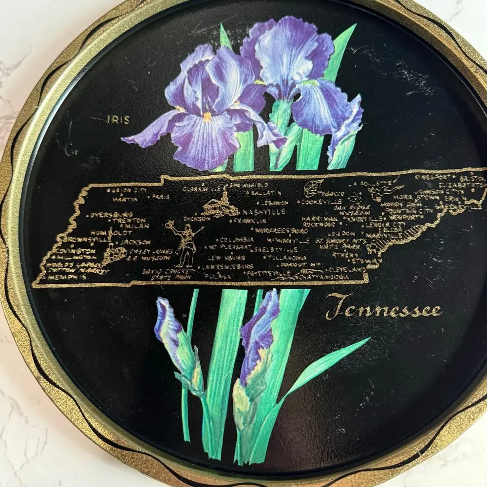 Vintage 1960s Tennessee Souvenir Metal Tray Map Iris Retro